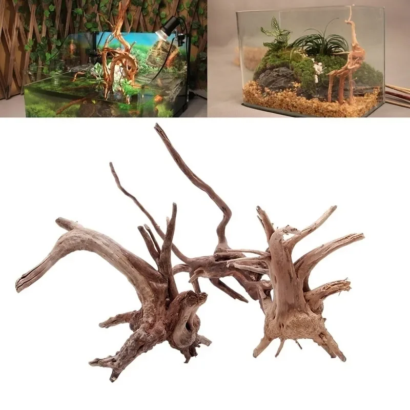 Marine Aquarium Aquascape - Natural Tree Trunk Driftwood Aquarium Fish
