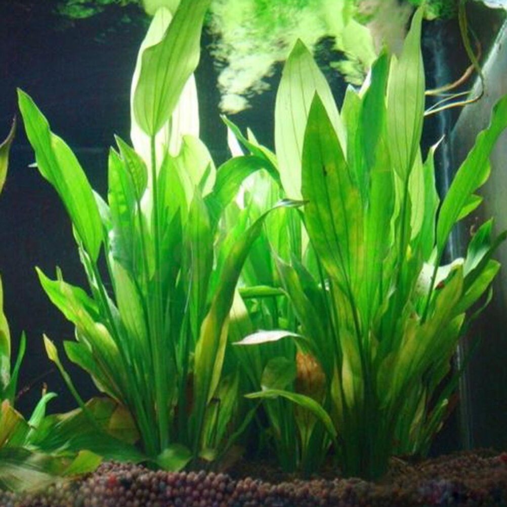 Marine Aquarium Aquascape - 15cm Artificial Aquarium Decor Plants Water