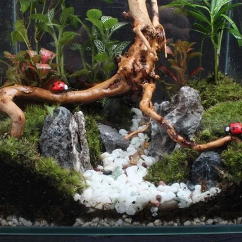 Natural Tree Trunk Driftwood A - Marine Aquarium Aquascape recension och pris