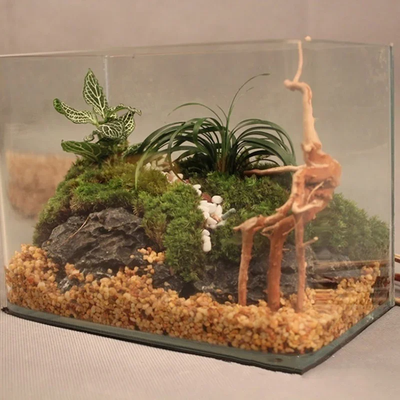 Natural Tree Trunk Driftwood A - Marine Aquarium Aquascape recension och pris
