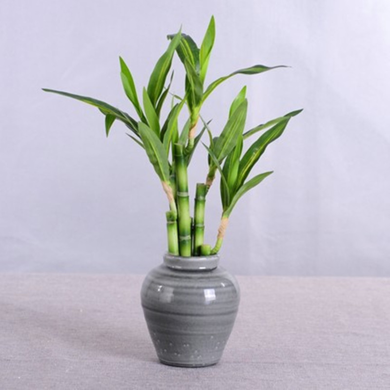 New 40cm Artificial Lucky Bamb - Aquarium Marine Tank recension och pris