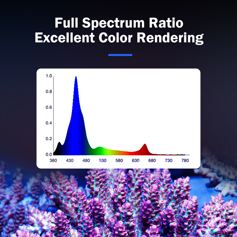 Hot KASSRAY T169/T215 CREEs LE - Marine Aquarium & Regional Centre Reviews recension och pris