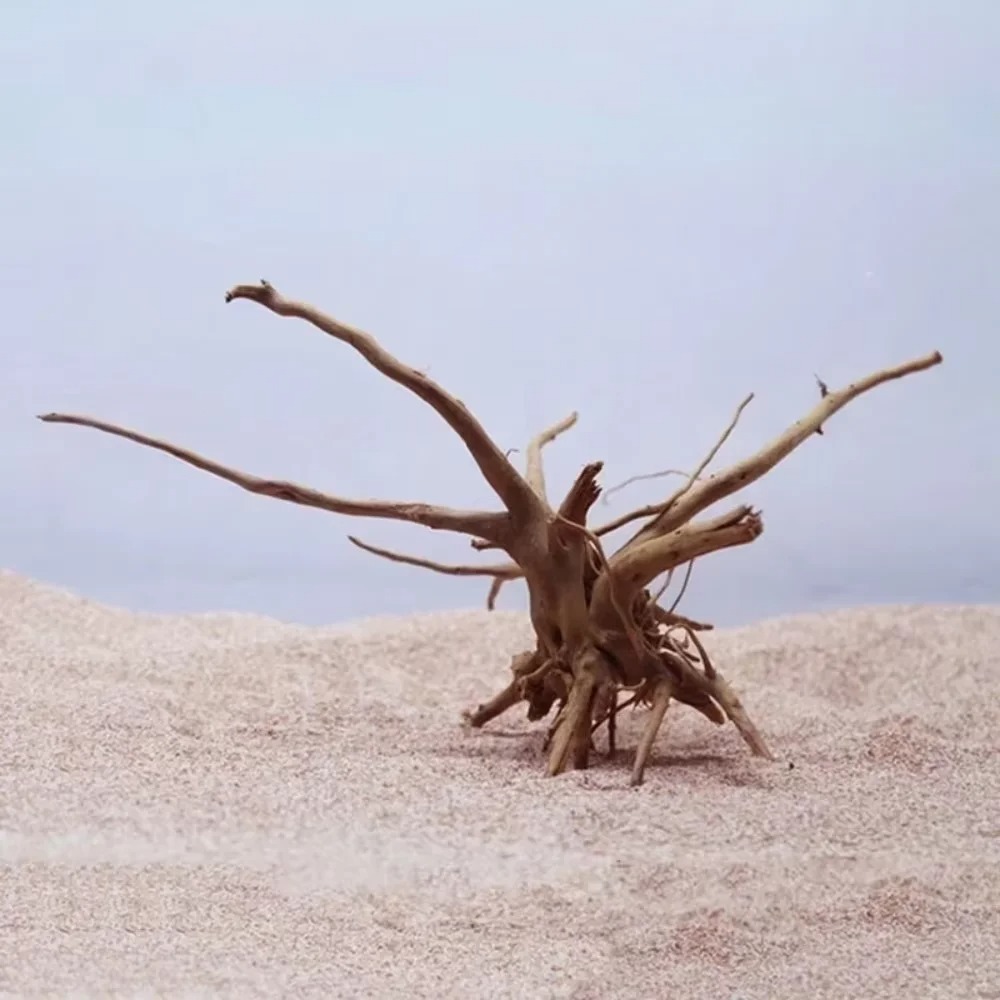 15-20CM Natural Driftwood Aqua - Aquarium Marine Tank recension och pris