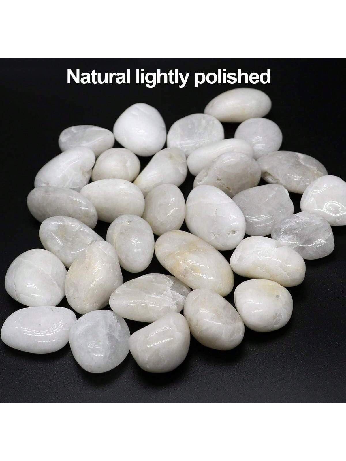 River Rocks Decorative Ornamen - Aquarium Marine Tank recension och pris