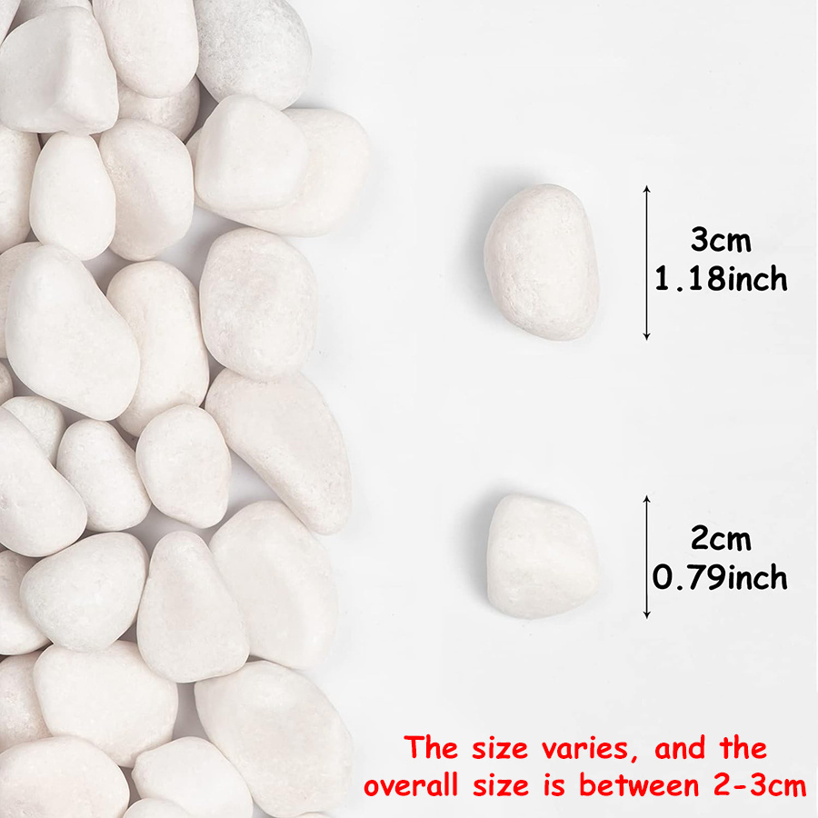 200/400g White High Polished N - Aquarium Marine Tank recension och pris