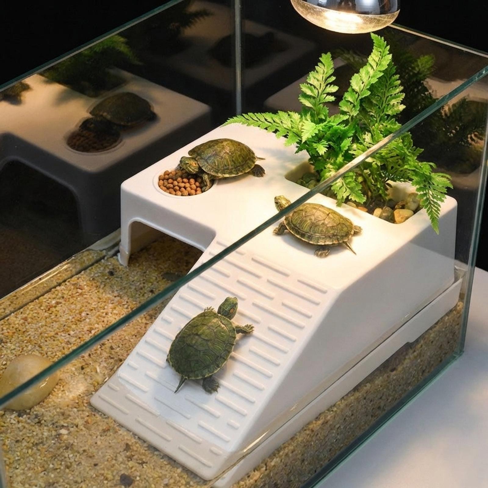 Turtle Resting Basking Platfor - Marine Aquarium Aquascape recension och pris