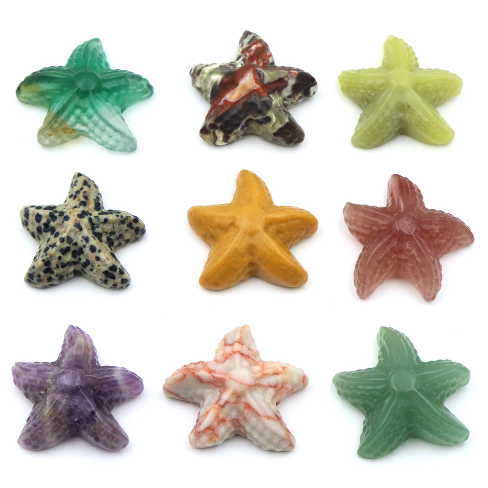 35mm Starfish Shape Statue Mar - Marine Aquarium & Regional Centre Reviews recension och pris