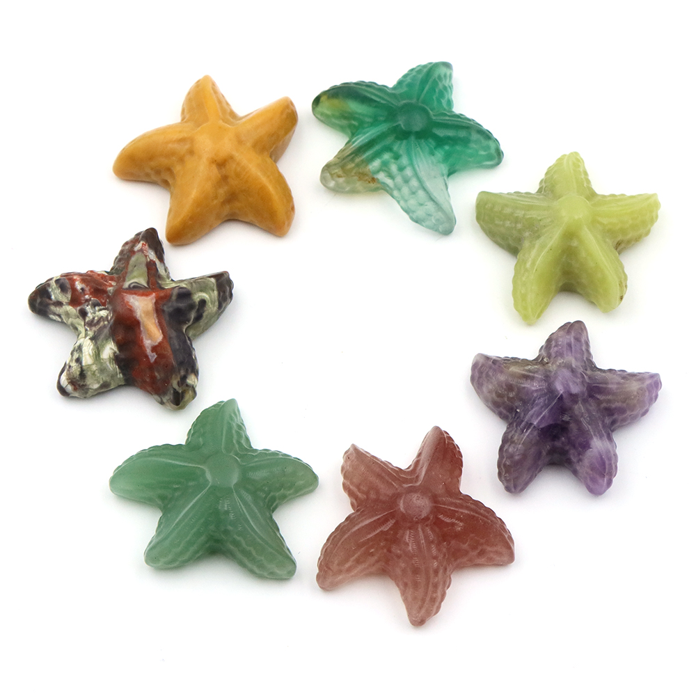 35mm Starfish Shape Statue Mar - Marine Aquarium & Regional Centre Reviews recension och pris