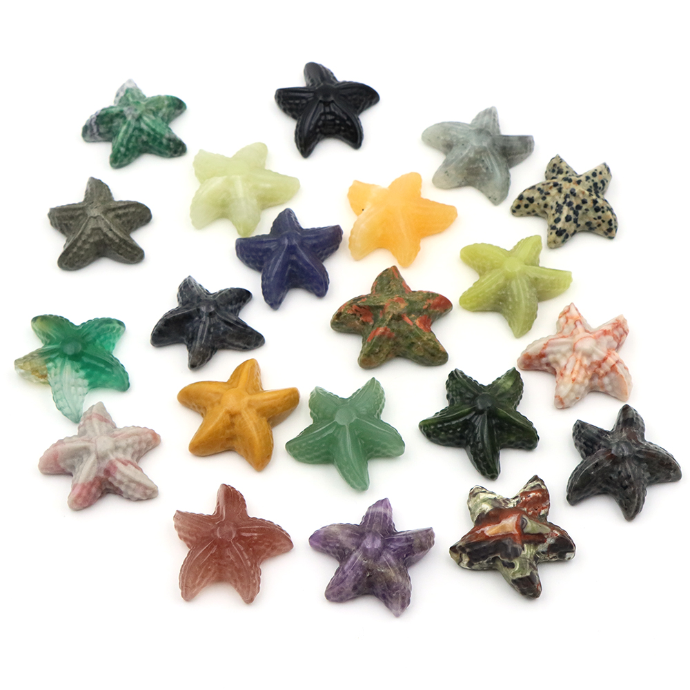 35mm Starfish Shape Statue Mar - Marine Aquarium & Regional Centre Reviews recension och pris