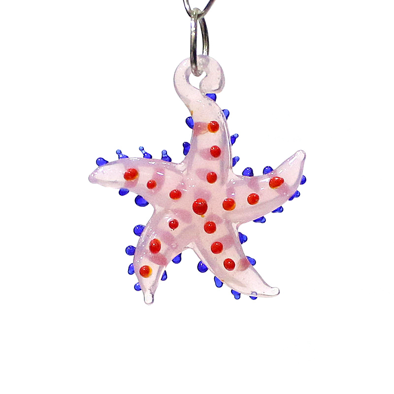 Cute Marine Animal Starfish Ch - Marine Aquarium & Regional Centre Reviews recension och pris